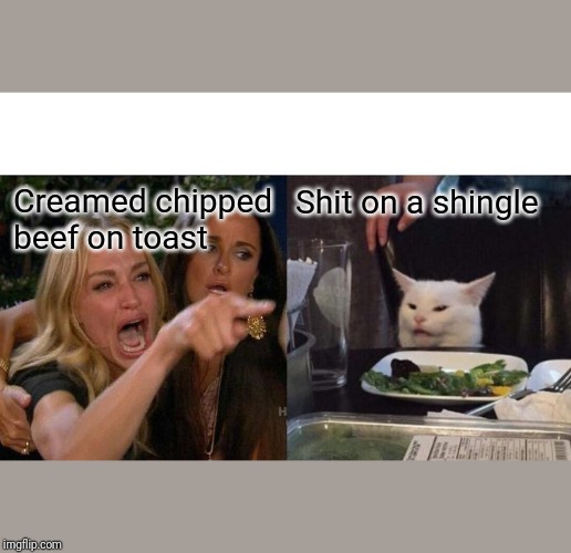 Woman Yelling At Cat Meme | Shit on a shingle; Creamed chipped beef on toast | image tagged in memes,woman yelling at cat | made w/ Imgflip meme maker