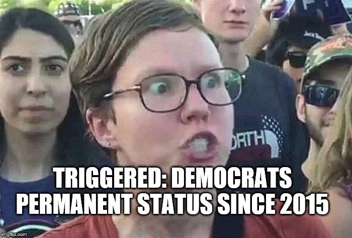 Triggered Liberal | TRIGGERED: DEMOCRATS PERMANENT STATUS SINCE 2015 | image tagged in triggered liberal | made w/ Imgflip meme maker