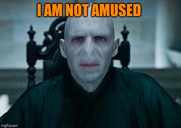 Lord Voldemort | I AM NOT AMUSED | image tagged in lord voldemort | made w/ Imgflip meme maker