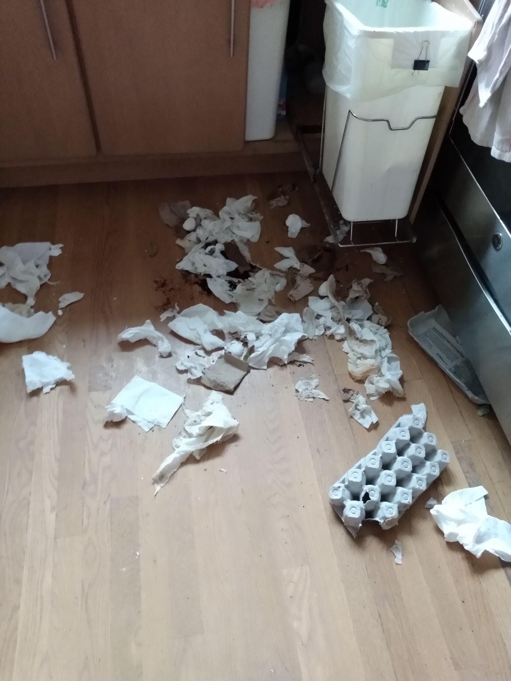 High Quality That's a mess Blank Meme Template