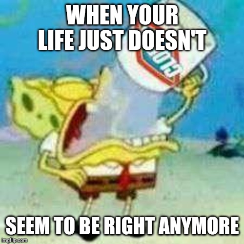 Spongebob Clorox  | WHEN YOUR LIFE JUST DOESN'T; SEEM TO BE RIGHT ANYMORE | image tagged in spongebob clorox | made w/ Imgflip meme maker