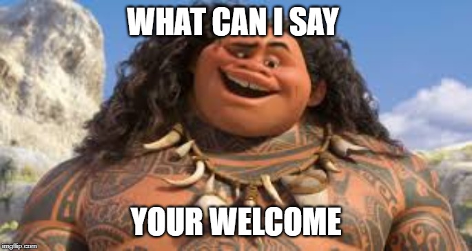 Your welcome | WHAT CAN I SAY YOUR WELCOME | image tagged in your welcome | made w/ Imgflip meme maker
