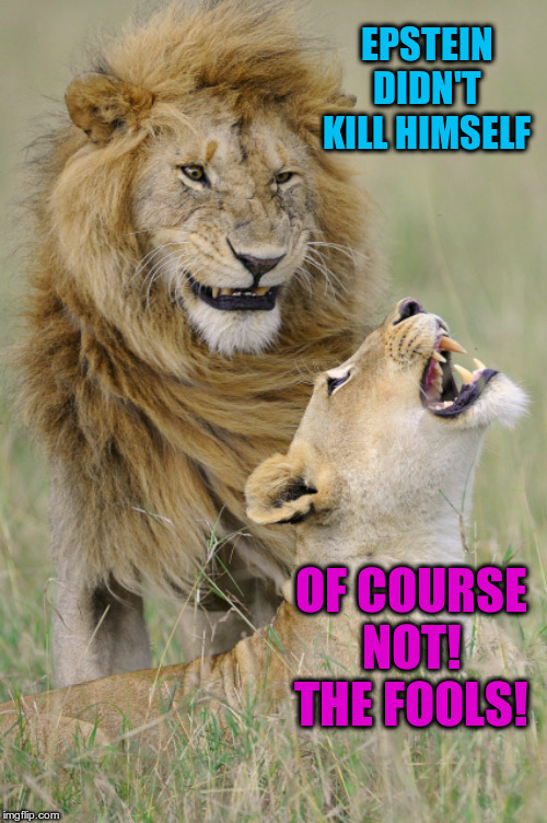 Even the lions know | EPSTEIN DIDN'T KILL HIMSELF; OF COURSE NOT! THE FOOLS! | image tagged in lions | made w/ Imgflip meme maker