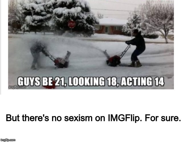I know it's just a joke but ehh | But there's no sexism on IMGFlip. For sure. | image tagged in sexism | made w/ Imgflip meme maker