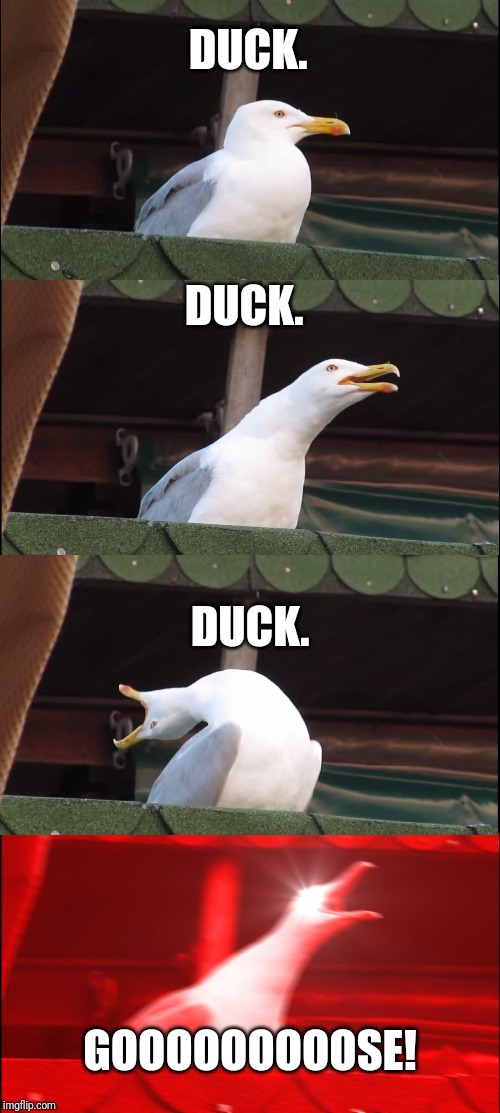 Inhaling Seagull Meme | DUCK. DUCK. DUCK. GOOOOOOOOOSE! | image tagged in memes,inhaling seagull,funny | made w/ Imgflip meme maker