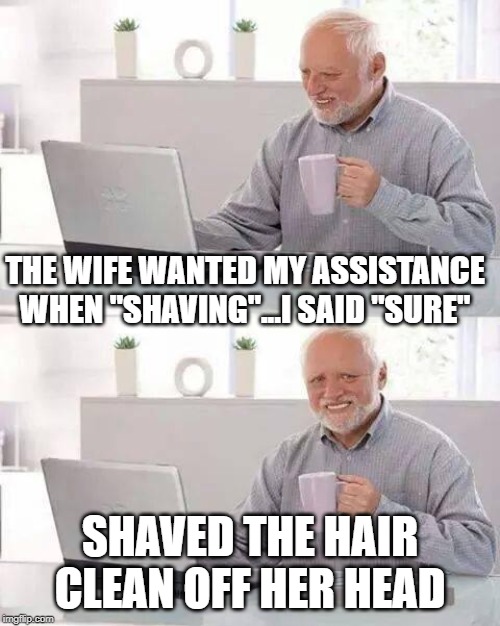 Helped the Mrs. | THE WIFE WANTED MY ASSISTANCE WHEN "SHAVING"...I SAID "SURE"; SHAVED THE HAIR CLEAN OFF HER HEAD | image tagged in memes,hide the pain harold | made w/ Imgflip meme maker
