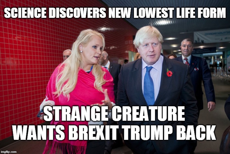 Brexit Trump's Boo | SCIENCE DISCOVERS NEW LOWEST LIFE FORM; STRANGE CREATURE WANTS BREXIT TRUMP BACK | image tagged in boris johnson,brexit,trump | made w/ Imgflip meme maker