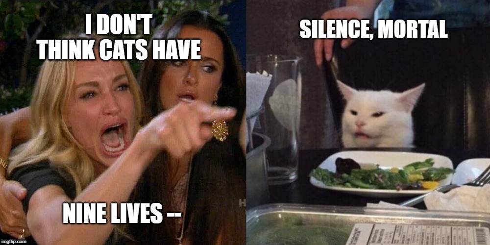 Woman yelling at cat | I DON'T THINK CATS HAVE; SILENCE, MORTAL; NINE LIVES -- | image tagged in woman yelling at cat | made w/ Imgflip meme maker
