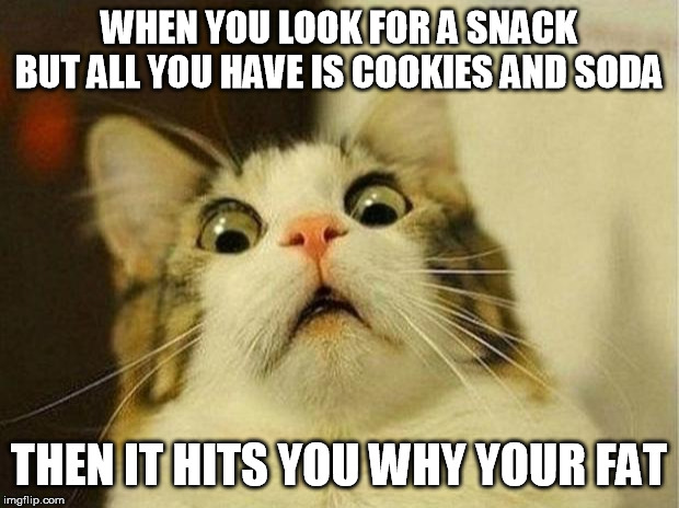 Scared Cat | WHEN YOU LOOK FOR A SNACK BUT ALL YOU HAVE IS COOKIES AND SODA; THEN IT HITS YOU WHY YOUR FAT | image tagged in memes,scared cat | made w/ Imgflip meme maker