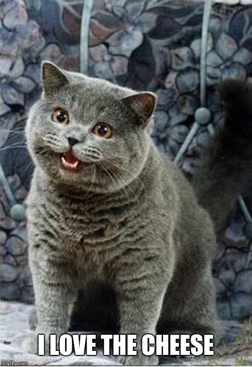 I can has cheezburger cat | I LOVE THE CHEESE | image tagged in i can has cheezburger cat | made w/ Imgflip meme maker