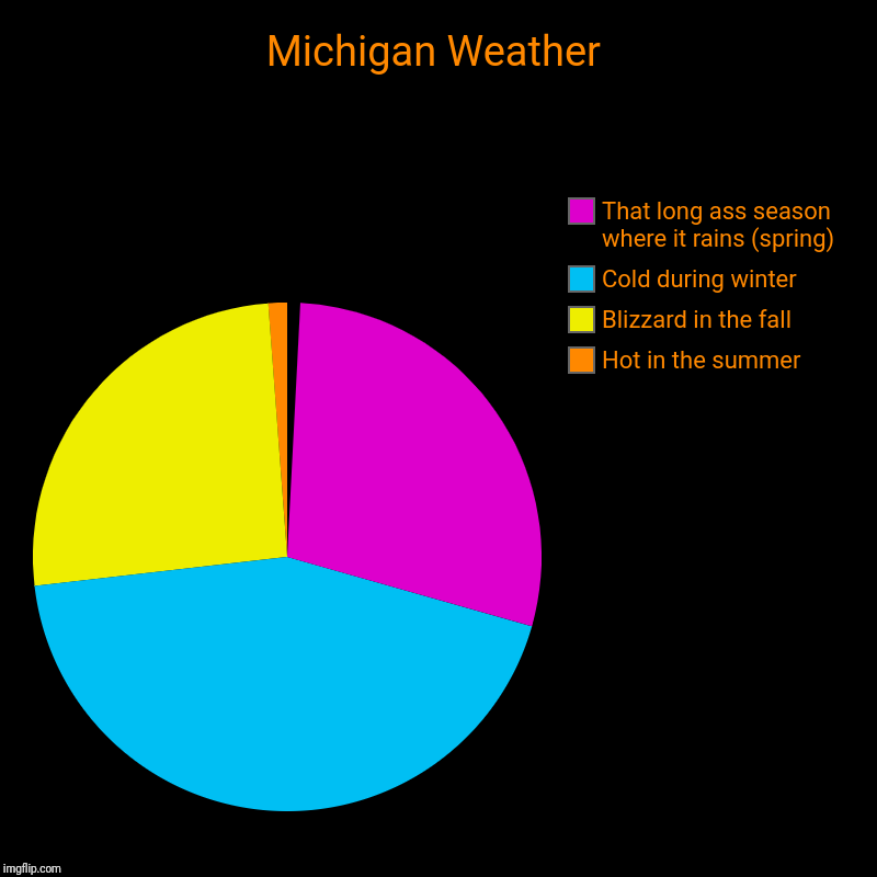 Michigan Weather | Hot in the summer, Blizzard in the fall, Cold during winter , That long ass season where it rains (spring) | image tagged in charts,pie charts | made w/ Imgflip chart maker