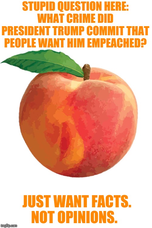 I'm not from the USA. And all I have is biased news stories.  Can anyone explain to me? | STUPID QUESTION HERE:
WHAT CRIME DID PRESIDENT TRUMP COMMIT THAT PEOPLE WANT HIM EMPEACHED? JUST WANT FACTS. NOT OPINIONS. | image tagged in donald trump,impeach trump | made w/ Imgflip meme maker