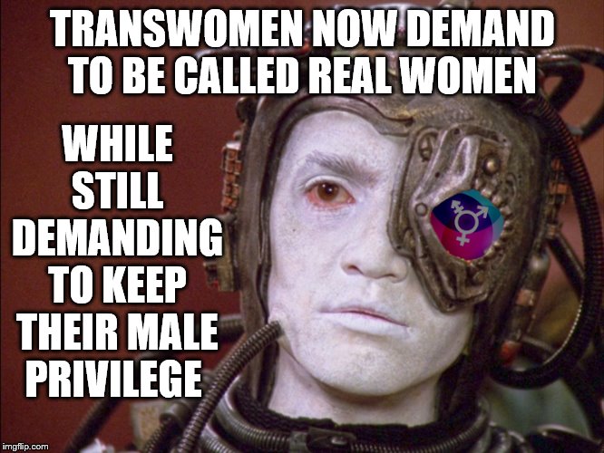 Transgender Borg | WHILE STILL DEMANDING TO KEEP THEIR MALE PRIVILEGE; TRANSWOMEN NOW DEMAND TO BE CALLED REAL WOMEN | image tagged in transgender borg | made w/ Imgflip meme maker