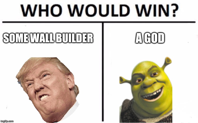 Who Would Win? | SOME WALL BUILDER; A GOD | image tagged in memes,who would win | made w/ Imgflip meme maker