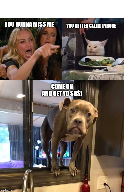 YOU BETTER CALLLL TYRONE; YOU GONNA MISS ME; COME ON AND GET YO SH$! | image tagged in memes,woman yelling at cat,dog in window | made w/ Imgflip meme maker