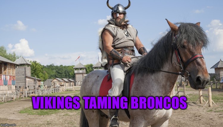 VIKINGS TAMING BRONCOS | image tagged in vikings | made w/ Imgflip meme maker
