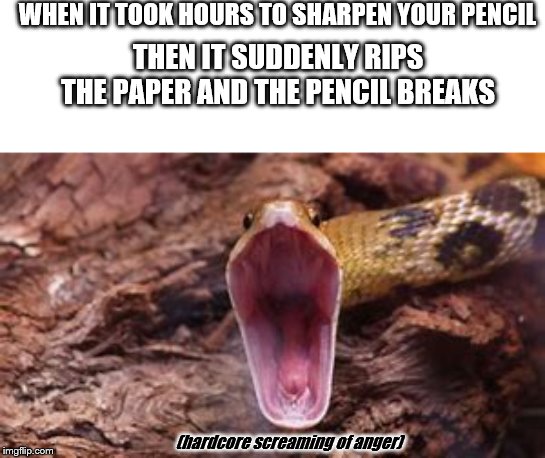 It was that moment you flung your pencil | WHEN IT TOOK HOURS TO SHARPEN YOUR PENCIL; THEN IT SUDDENLY RIPS THE PAPER AND THE PENCIL BREAKS; (hardcore screaming of anger) | image tagged in paper,pencil,sharp,hardcore,scream,anger | made w/ Imgflip meme maker