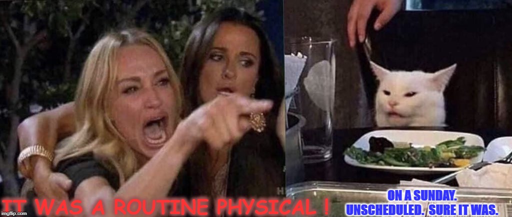 woman yelling at cat | ON A SUNDAY. UNSCHEDULED.  SURE IT WAS. IT WAS A ROUTINE PHYSICAL ! | image tagged in woman yelling at cat | made w/ Imgflip meme maker