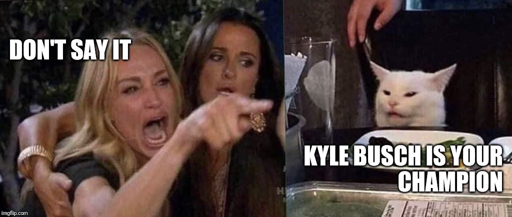 woman yelling at cat | DON'T SAY IT; KYLE BUSCH IS YOUR
CHAMPION | image tagged in woman yelling at cat | made w/ Imgflip meme maker
