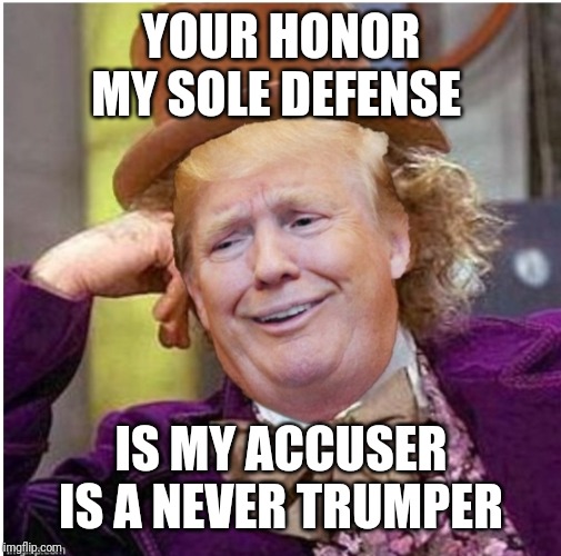 Wonka Trump | YOUR HONOR MY SOLE DEFENSE; IS MY ACCUSER IS A NEVER TRUMPER | image tagged in wonka trump | made w/ Imgflip meme maker