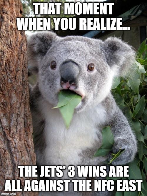 Just Not the Eagles | THAT MOMENT WHEN YOU REALIZE... THE JETS' 3 WINS ARE ALL AGAINST THE NFC EAST | image tagged in memes,surprised koala | made w/ Imgflip meme maker