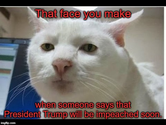 Let's just say that I'll believe it when I see it. | That face you make; when someone says that President Trump will be impeached soon. | image tagged in surprised face,donald trump,impeach trump,trump impeachment,that face you make,memes | made w/ Imgflip meme maker