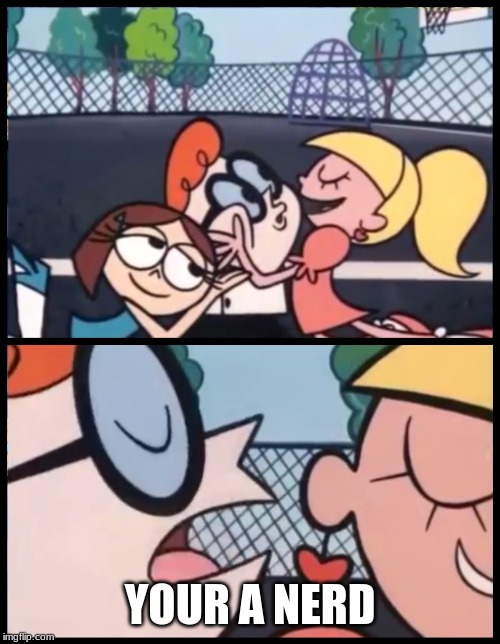 Say it Again, Dexter | YOUR A NERD | image tagged in memes,say it again dexter | made w/ Imgflip meme maker