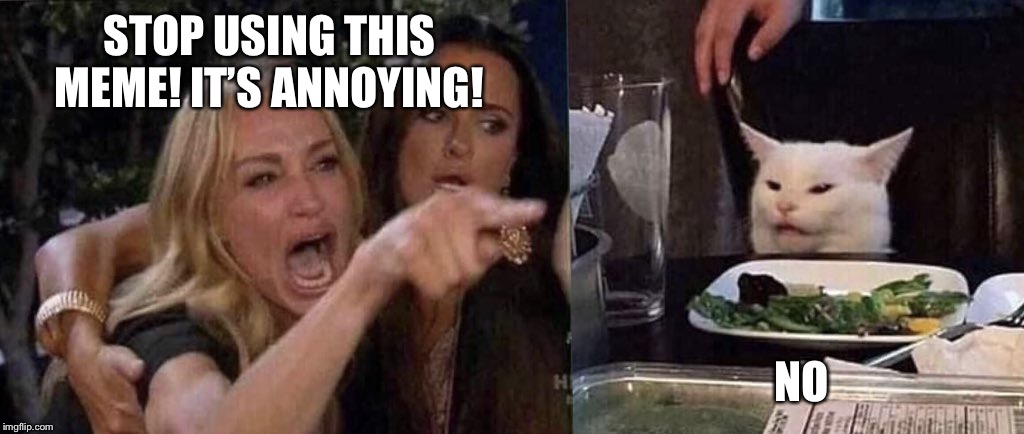 woman yelling at cat | STOP USING THIS MEME! IT’S ANNOYING! NO | image tagged in woman yelling at cat | made w/ Imgflip meme maker
