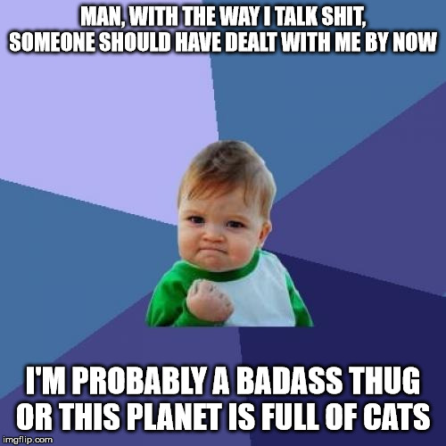 Success Kid Meme | MAN, WITH THE WAY I TALK SHIT, SOMEONE SHOULD HAVE DEALT WITH ME BY NOW; I'M PROBABLY A BADASS THUG OR THIS PLANET IS FULL OF CATS | image tagged in memes,success kid | made w/ Imgflip meme maker