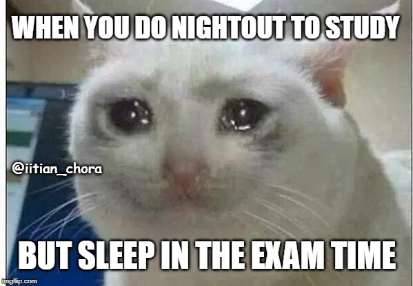 crying cat | WHEN YOU DO NIGHTOUT TO STUDY; @iitian_chora; BUT SLEEP IN THE EXAM TIME | image tagged in crying cat | made w/ Imgflip meme maker
