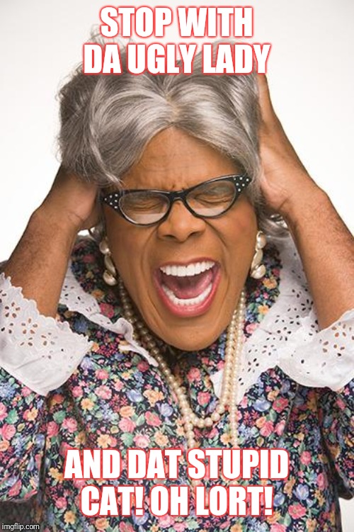 madea | STOP WITH DA UGLY LADY; AND DAT STUPID CAT! OH LORT! | image tagged in madea | made w/ Imgflip meme maker