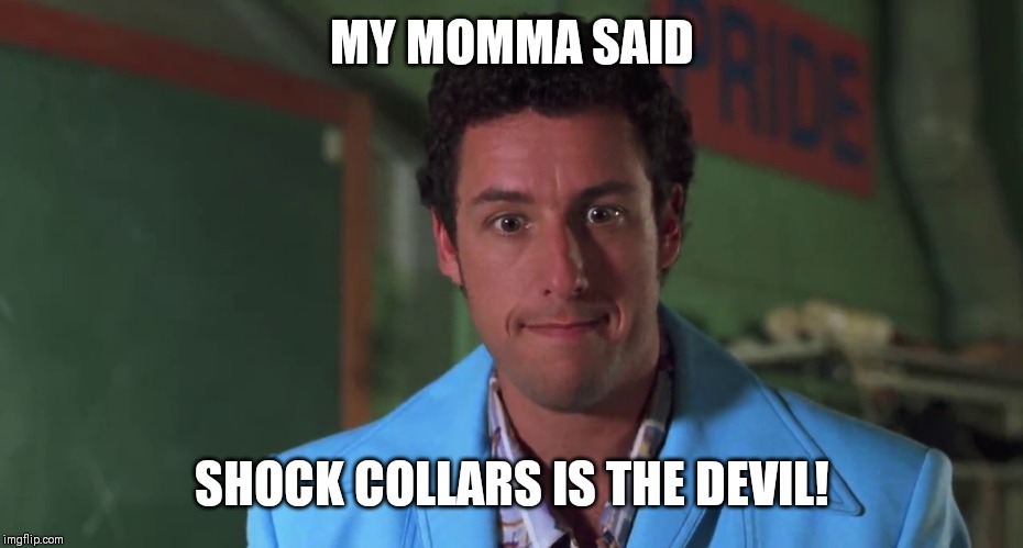 My momma said | MY MOMMA SAID; SHOCK COLLARS IS THE DEVIL! | image tagged in my momma said | made w/ Imgflip meme maker