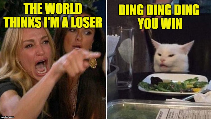 Women yelling at cat | DING DING DING 
YOU WIN; THE WORLD THINKS I'M A LOSER | image tagged in women yelling at cat | made w/ Imgflip meme maker