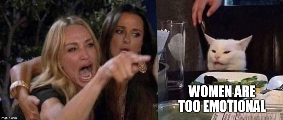 Women Are Too Emotional | WOMEN ARE TOO EMOTIONAL | image tagged in restaurant cat,women,emotional | made w/ Imgflip meme maker