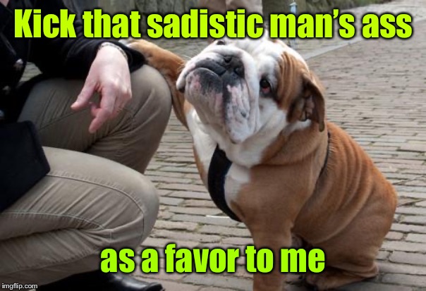 Sympathetic Bulldog | Kick that sadistic man’s ass as a favor to me | image tagged in sympathetic bulldog | made w/ Imgflip meme maker