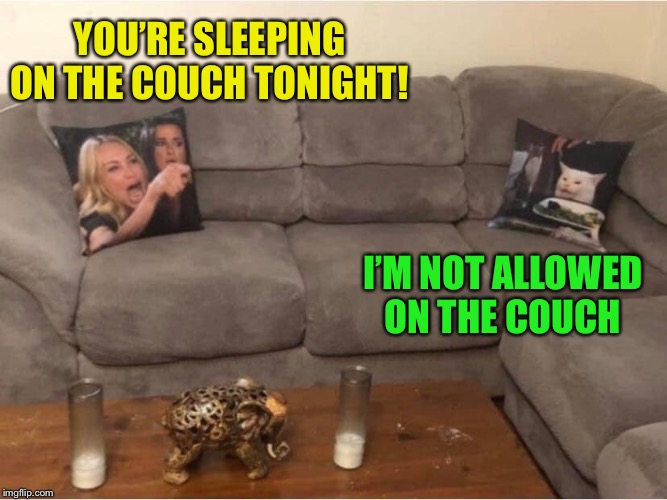 Pillow Talk | YOU’RE SLEEPING ON THE COUCH TONIGHT! I’M NOT ALLOWED ON THE COUCH | image tagged in woman yelling at cat,couch,pillow,fight,funny memes | made w/ Imgflip meme maker