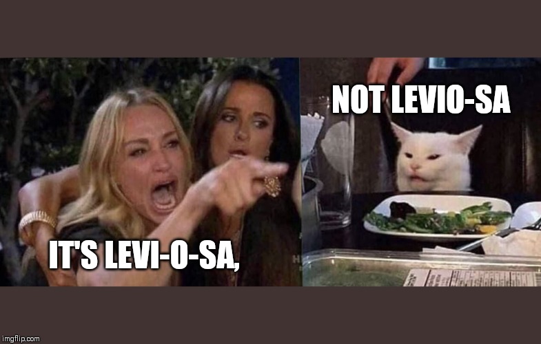 woman yelling at cat | NOT LEVIO-SA; IT'S LEVI-O-SA, | image tagged in woman yelling at cat | made w/ Imgflip meme maker
