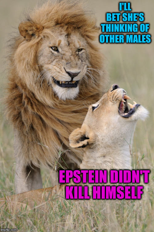 Plotting Lions | I'LL BET SHE'S THINKING OF OTHER MALES EPSTEIN DIDN'T KILL HIMSELF | image tagged in plotting lions | made w/ Imgflip meme maker