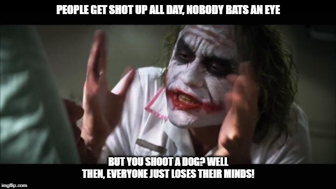 And everybody loses their minds | PEOPLE GET SHOT UP ALL DAY, NOBODY BATS AN EYE; BUT YOU SHOOT A DOG? WELL THEN, EVERYONE JUST LOSES THEIR MINDS! | image tagged in memes,and everybody loses their minds | made w/ Imgflip meme maker