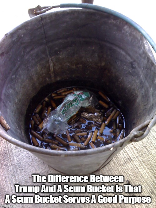 The Difference Between Trump And A Scum Bucket | The Difference Between Trump And A Scum Bucket Is That A Scum Bucket Serves A Good Purpose | image tagged in scum bucket,trump | made w/ Imgflip meme maker