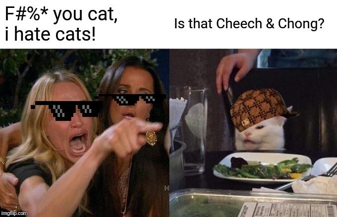 Woman Yelling At Cat Meme |  F#%* you cat, i hate cats! Is that Cheech & Chong? | image tagged in memes,woman yelling at cat | made w/ Imgflip meme maker