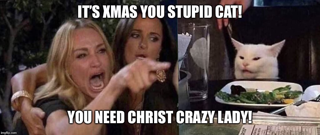 woman yelling at cat | IT’S XMAS YOU STUPID CAT! YOU NEED CHRIST CRAZY LADY! | image tagged in woman yelling at cat | made w/ Imgflip meme maker