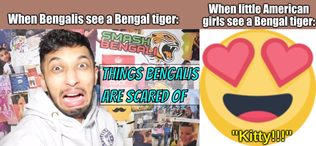 When little American girls see a Bengal tiger:; When Bengalis see a Bengal tiger:; "Kitty!!!" | made w/ Imgflip meme maker