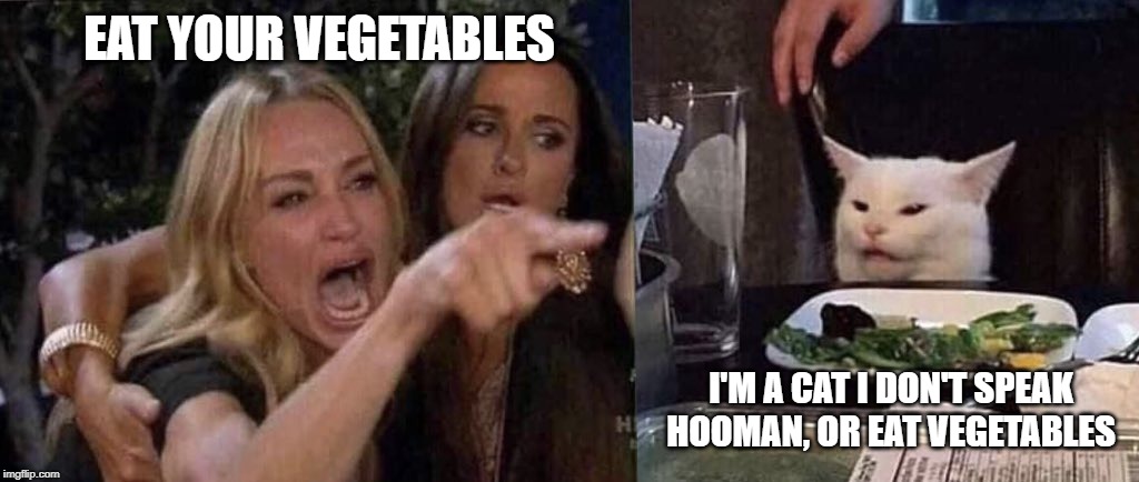 woman yelling at cat | EAT YOUR VEGETABLES; I'M A CAT I DON'T SPEAK HOOMAN, OR EAT VEGETABLES | image tagged in woman yelling at cat | made w/ Imgflip meme maker
