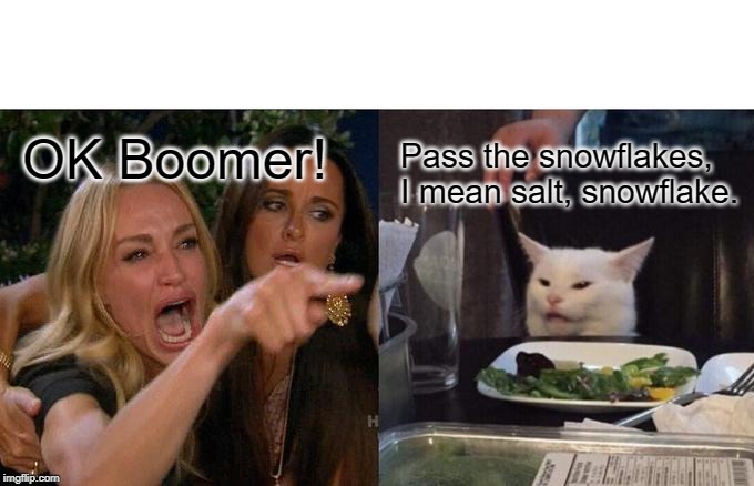 Offended Are We? | OK Boomer! Pass the snowflakes, I mean salt, snowflake. | image tagged in memes,woman yelling at cat,ok boomer,millennials,snowflakes | made w/ Imgflip meme maker