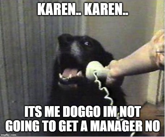 Karen f off already. | KAREN.. KAREN.. ITS ME DOGGO IM NOT GOING TO GET A MANAGER NO | image tagged in yes this is dog,karen,manager,dog | made w/ Imgflip meme maker