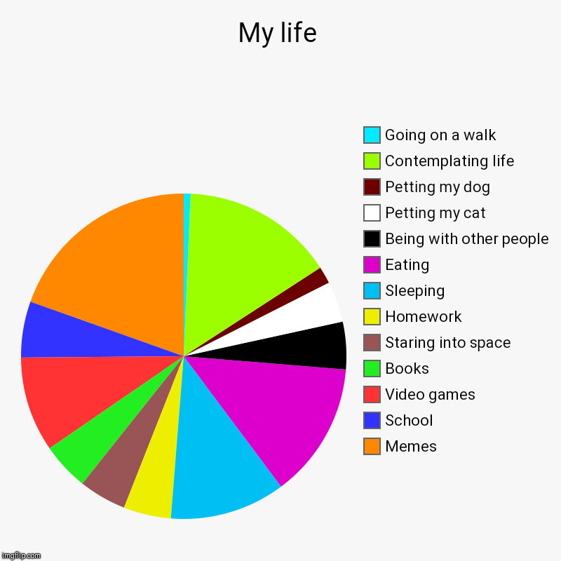 My life | Memes, School, Video games, Books, Staring into space, Homework, Sleeping, Eating, Being with other people, Petting my cat, Pettin | image tagged in charts,pie charts | made w/ Imgflip chart maker