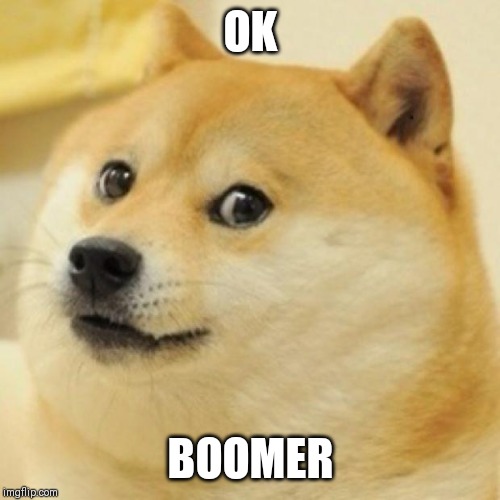 wow doge | OK BOOMER | image tagged in wow doge | made w/ Imgflip meme maker