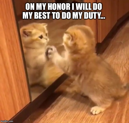 ON MY HONOR I WILL DO MY BEST TO DO MY DUTY... | made w/ Imgflip meme maker