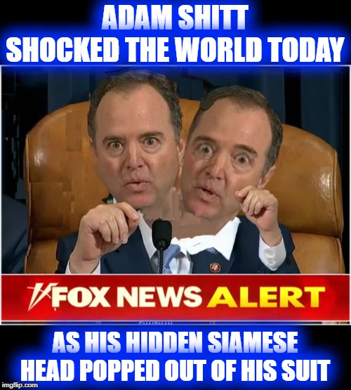 Siamese Shits | ADAM SHITT SHOCKED THE WORLD TODAY; AS HIS HIDDEN SIAMESE HEAD POPPED OUT OF HIS SUIT | image tagged in 2 headed shit,double caca,the double loafer,two to pinch | made w/ Imgflip meme maker